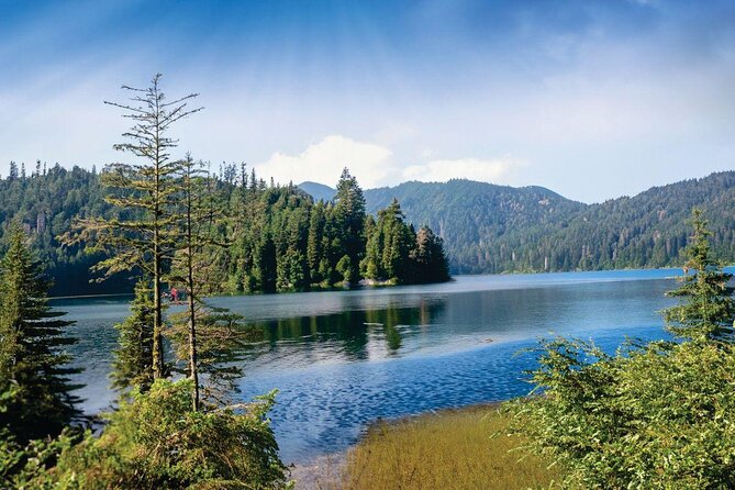 New York City Private Night Tour With Driver-Guide - Good To Know