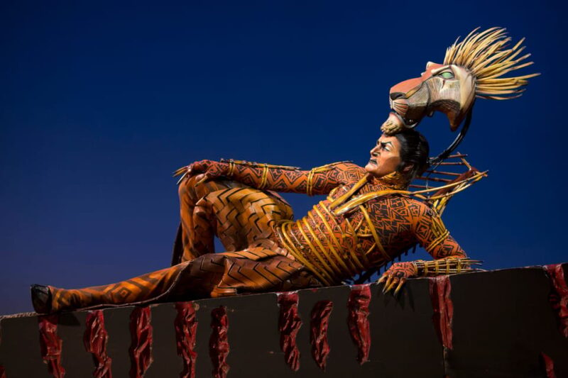 New York City: The Lion King Broadway Entry Tickets - Important Information
