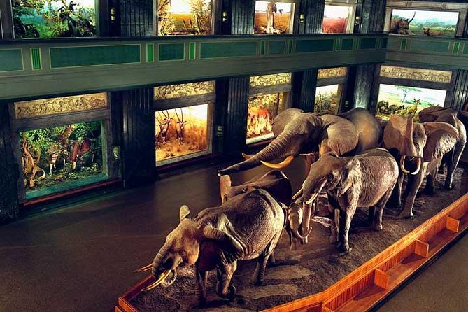 New York CityPASS® - Pricing and Value