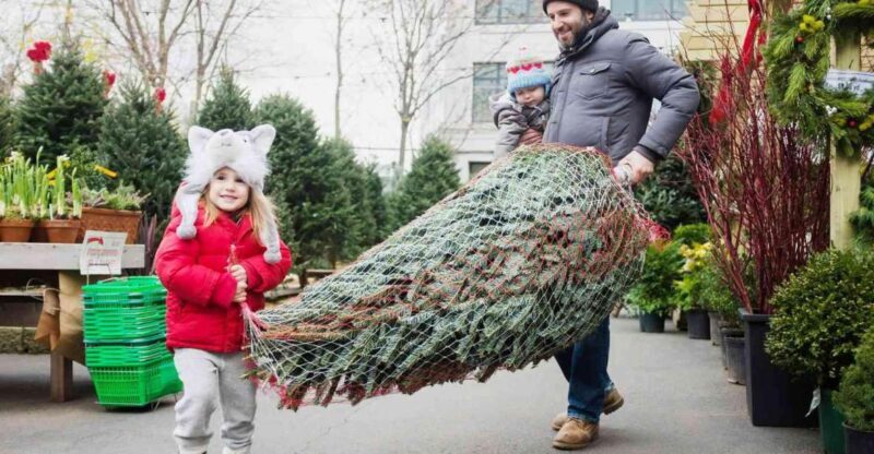 New York Citys Private Iconic Christmas Tour - A Closer Look at the Tour Itinerary