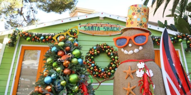 New York Citys Private Iconic Christmas Tour - The Sum Up