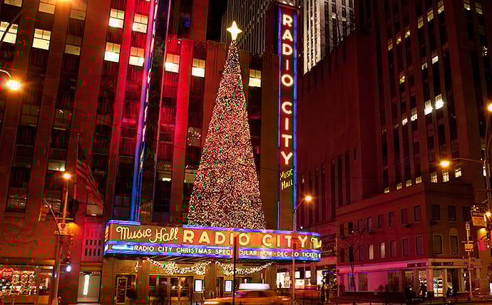 New York Holiday Lights & Grand Central 3-Hour Tour - Important Notes