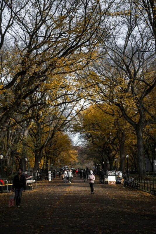 New York: Manhattan Highlights - Central Park & Rich areas - Key Points  