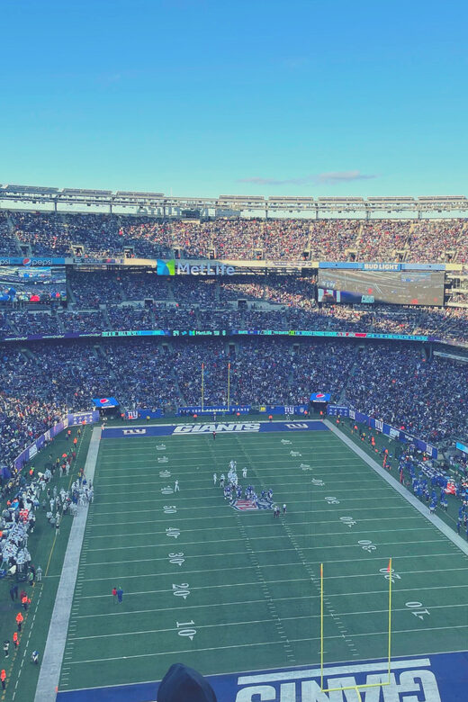 New York: New York Giants Football Game Ticket - A Practical Look at the Experience