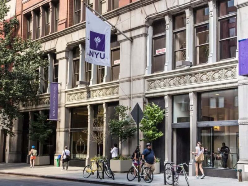 New York: NYU Campus Walking Tour with Student Guide - What to Expect on the NYU Campus Walking Tour