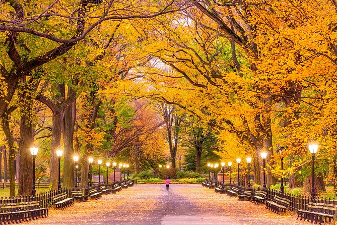 New York's Iconic Central Park: A Self-Guided Audio Tour - Taking in Natures Oasis