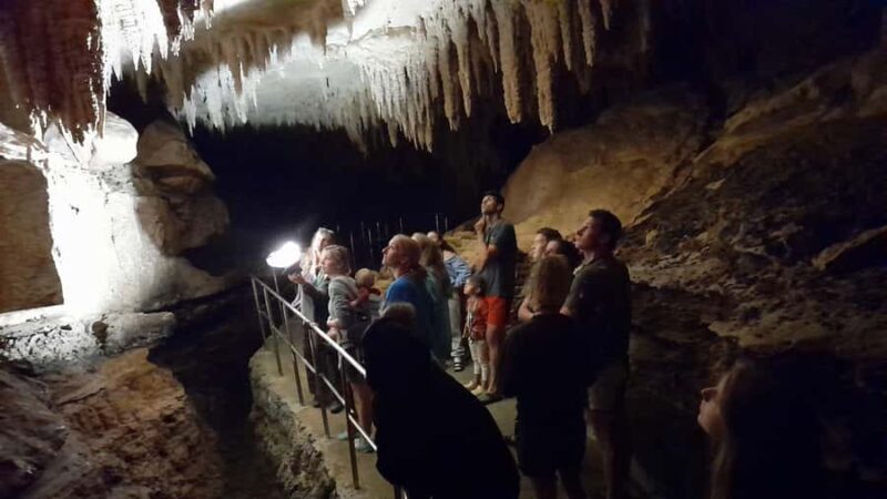 New Zealand: Milky Way Glowworm Cave Tour - Key Points