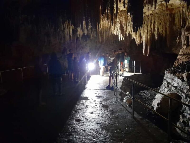 New Zealand: Milky Way Glowworm Cave Tour - Final Thoughts
