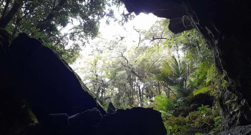 New Zealand: Milky Way Glowworm Cave Tour - Frequently Asked Questions