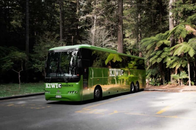 New Zealand: North Island Hop-On Hop-Off Pass - Key Points