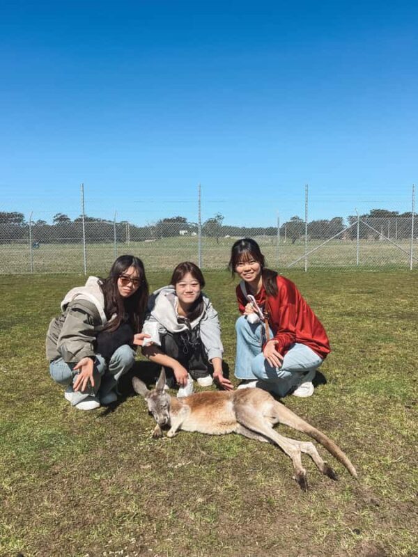 Newcastle: Animal Lovers Tour - Kangaroos, Dolphins & more! - Key Points