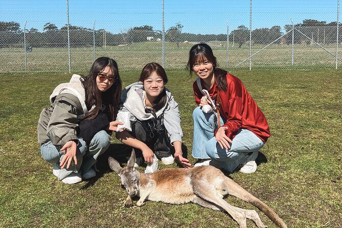 Newcastle: Animal Lovers Tour - Kangaroos, Dolphins & more! - Key Points