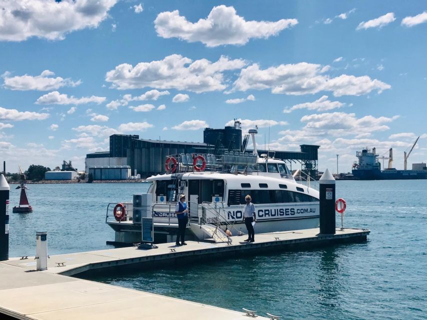 Newcastle: Humpback Whale Watching Cruise and Harbor Tour - Customer Reviews