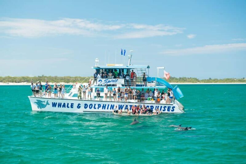 Newcastle: Port Stephens day tour. Dolphins, hike, swim. - An Authentic Day in Port Stephens: What to Expect