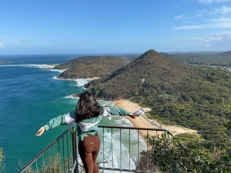 Newcastle: Port Stephens day tour. Dolphins, hike, swim. - In-Depth Breakdown of the Itinerary