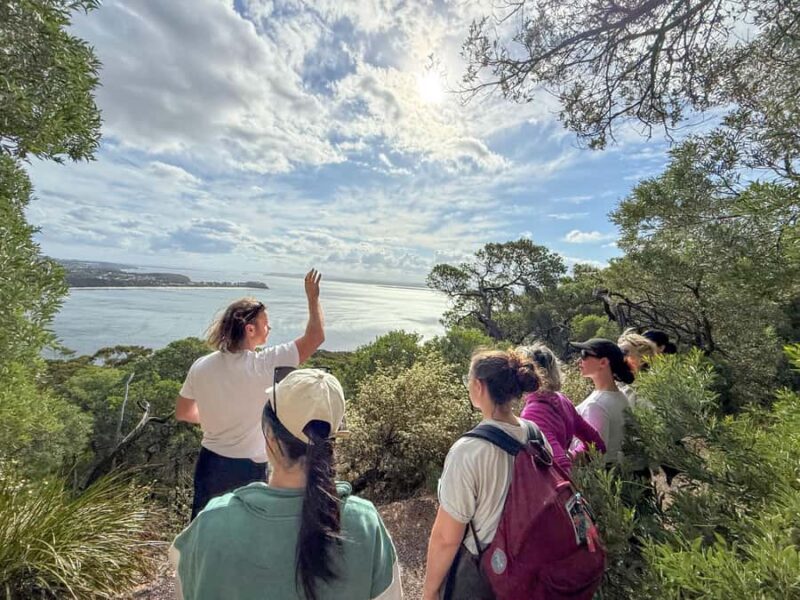 Newcastle: Port Stephens day tour. Dolphins, hike, swim. - Practical Tips for Travelers