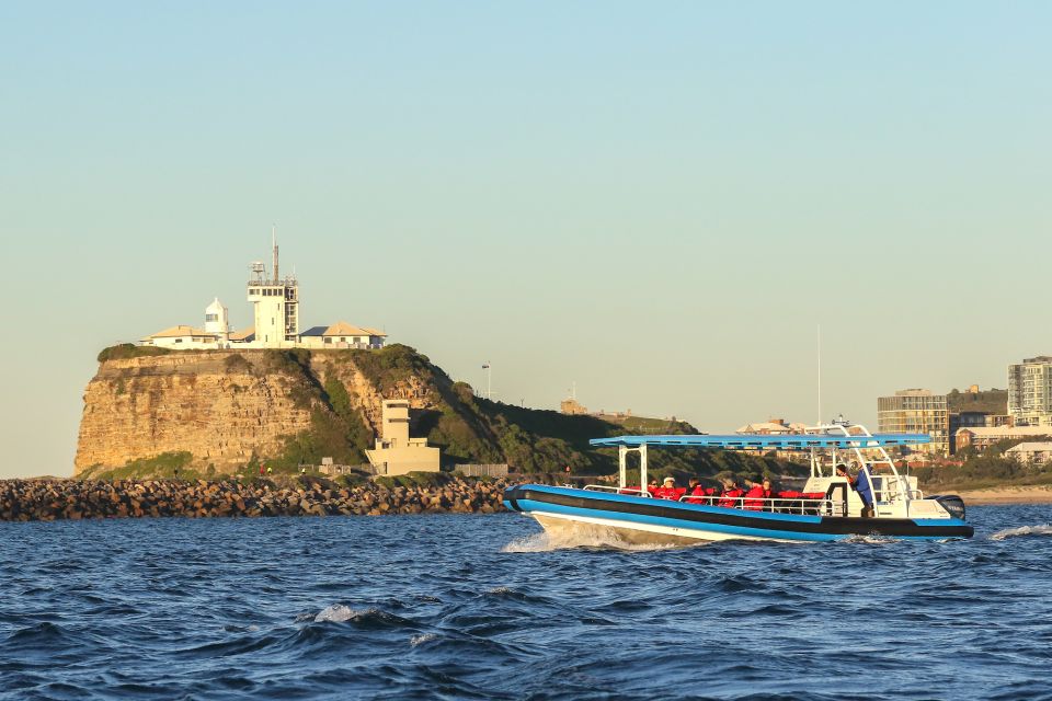 Newcastle: Small Group Humpback Whale Encounter Tour - Highlights