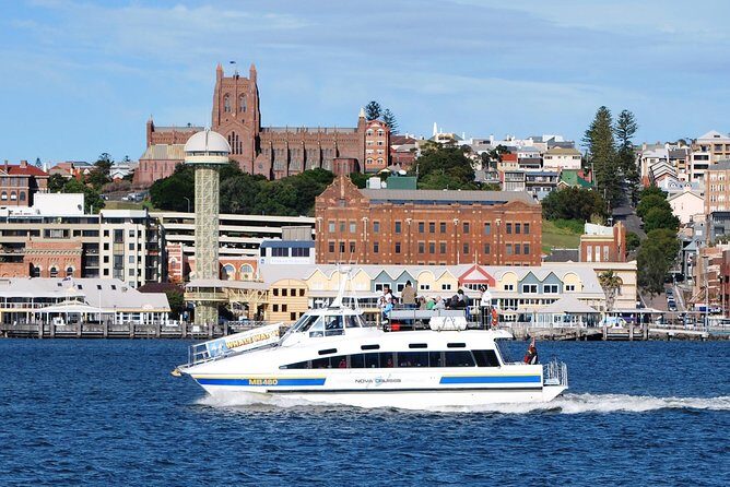 Newcastle Whale Watching Cruise - An In-Depth Look at the Newcastle Whale Watching Cruise