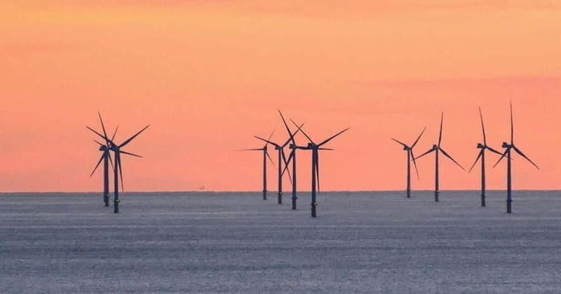 Newhaven: Rampion Offshore Wind Farm Boat Tour - The Chance to Spot Dolphins