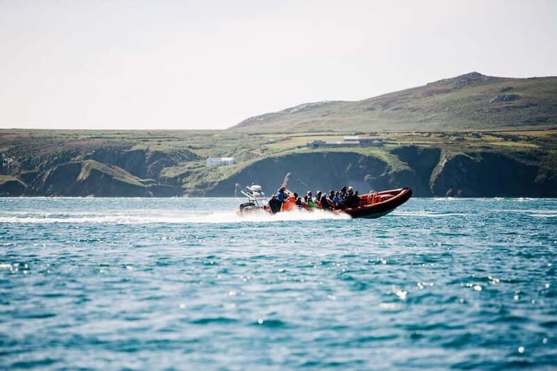 Newhaven: Seven Sisters and Birling Gap Boat Tour - Key Points