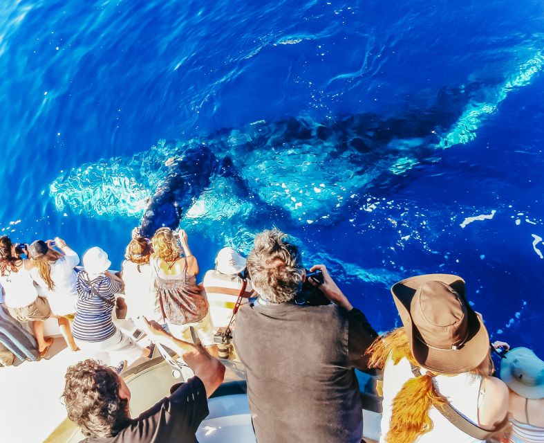 Newport Beach: 2-Hour Whale Watching Tour - Inclusions and Amenities