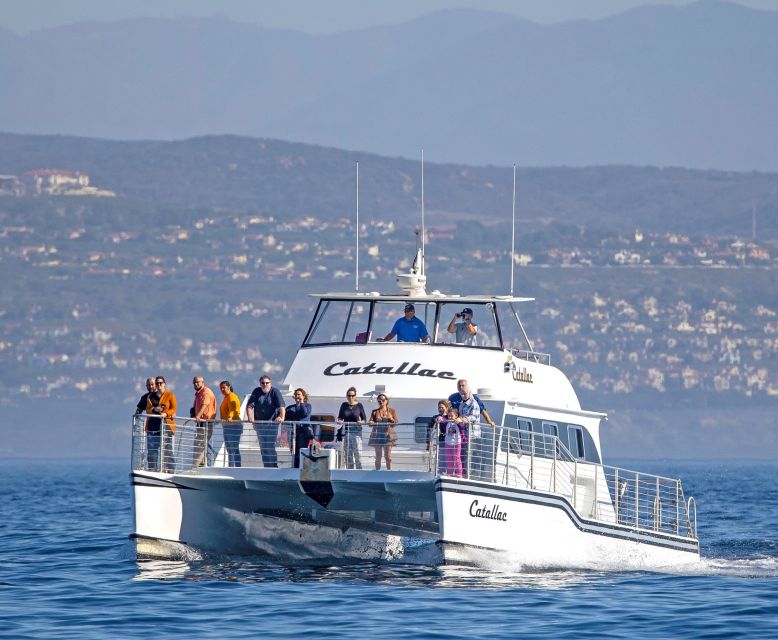 Newport Beach: Luxury Whale Watching Catamaran Cruise - Cruise Duration and Schedule