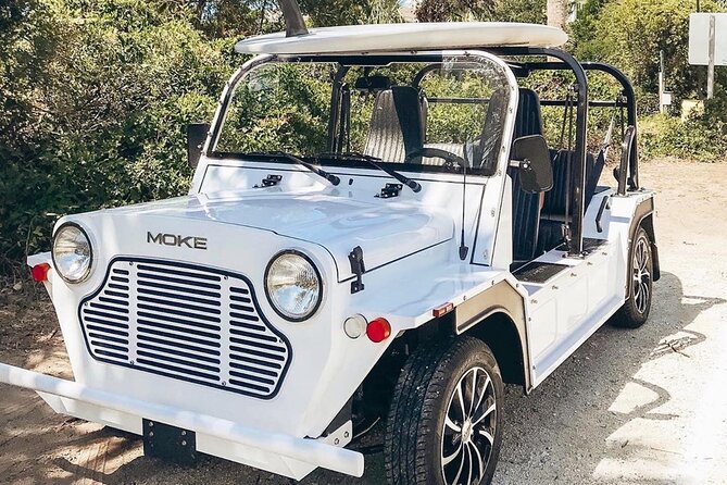 Newport Beach Moke Rentals Review - Rental Experience and Recommendations