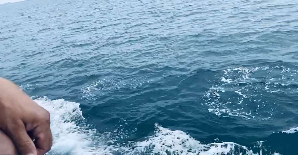 Newport Beach Private Tour & Whale Watching Cruise - Experience Highlights