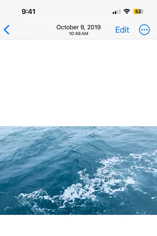 Newport Beach Private Tour & Whale Watching Cruise - Cruise Details