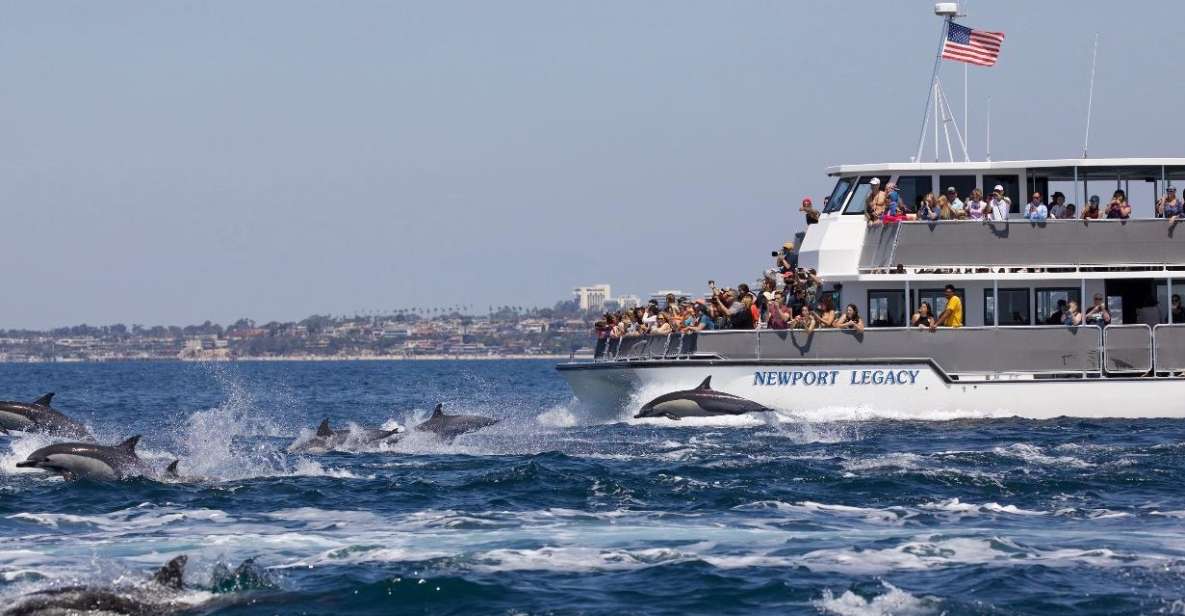Newport Beach: Whale and Dolphin-Watching Cruise - Highlights of the Cruise