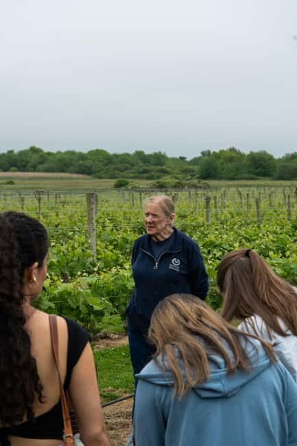 Newport: Vineyards Winery Tour + Tasting - A Closer Look at the Newport Vineyards Tour and Tasting