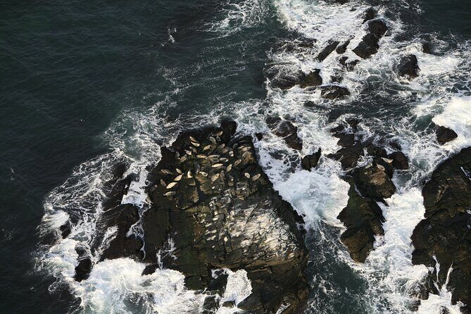 Newport Winter Wonderland Helicopter Tour - FAQs