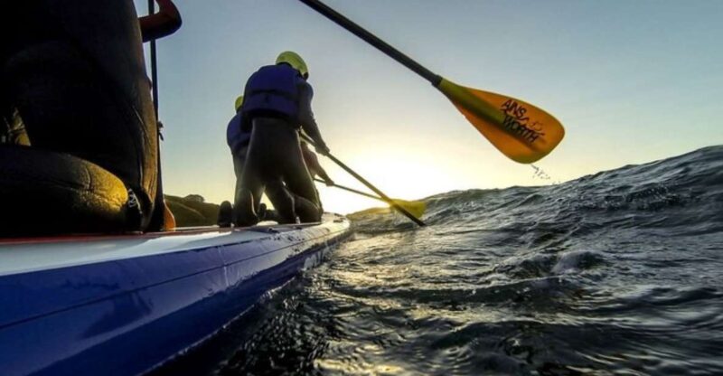 Newquay: Super SUP Tour - Experience Highlights
