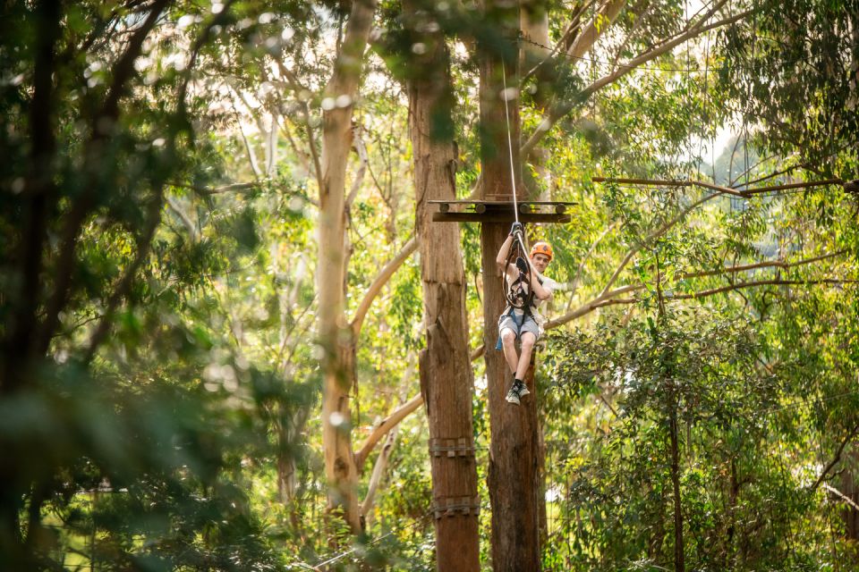 Newscastle: Australian Tree Ropes Course Adventure - Key Points