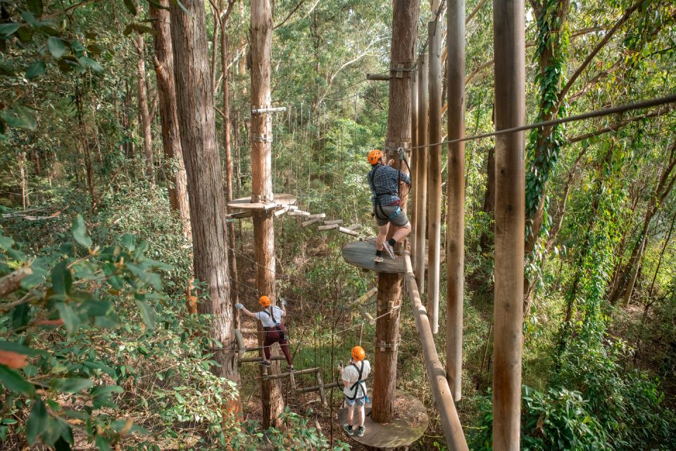 Newscastle: Australian Tree Ropes Course Adventure - Booking Information