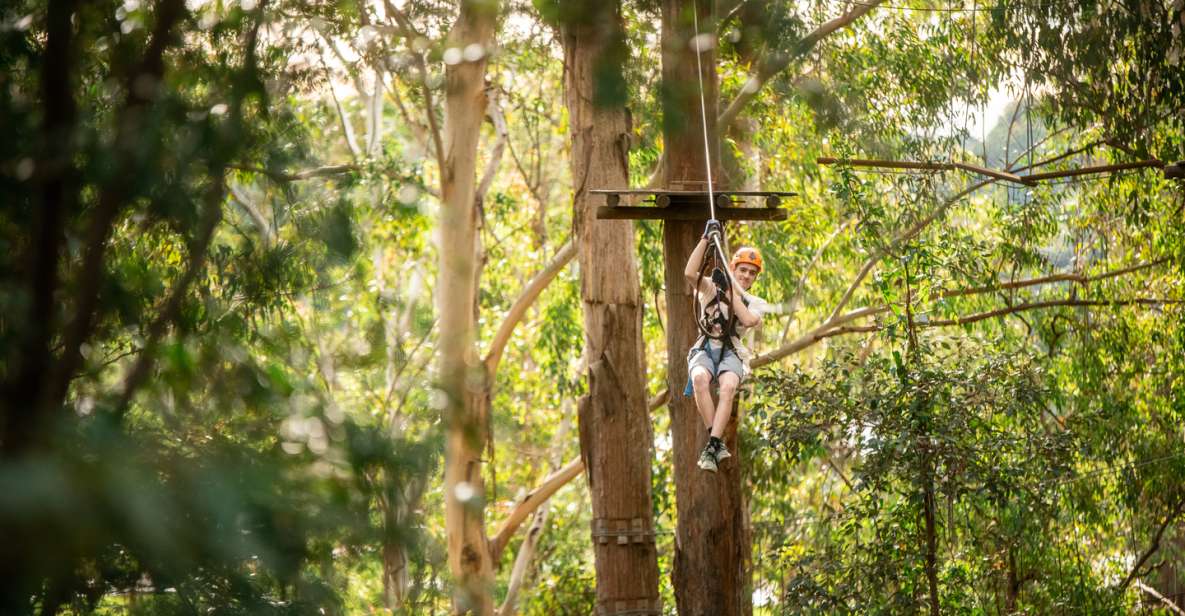 Newscastle: Australian Tree Ropes Course Adventure - Customer Reviews