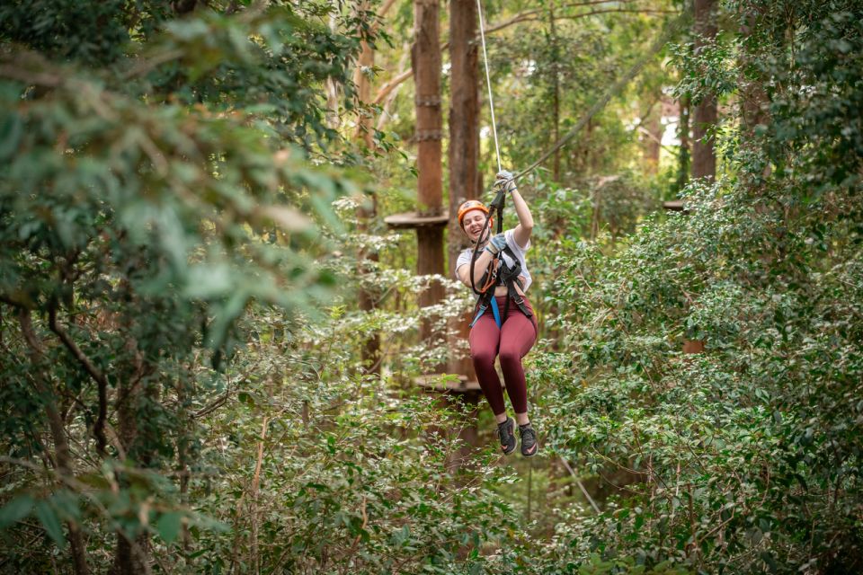 Newscastle: Australian Tree Ropes Course Adventure - Recap