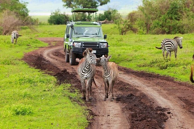 Ngorongoro Crater Day Trip - Pricing and Cancellation Policy