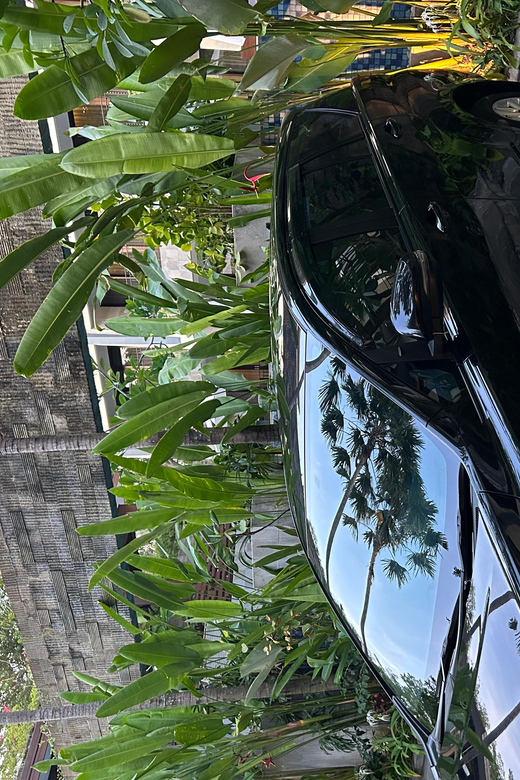 Ngurah Rai Bali Airport: Airport Private Transfer - Booking and Pricing