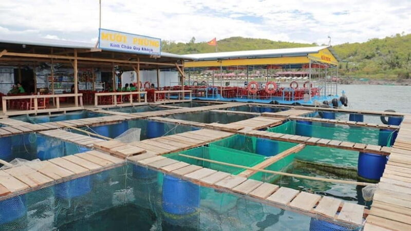 NHA TRANG 3 ISLAND VIP TOUR - Important Information for Travelers