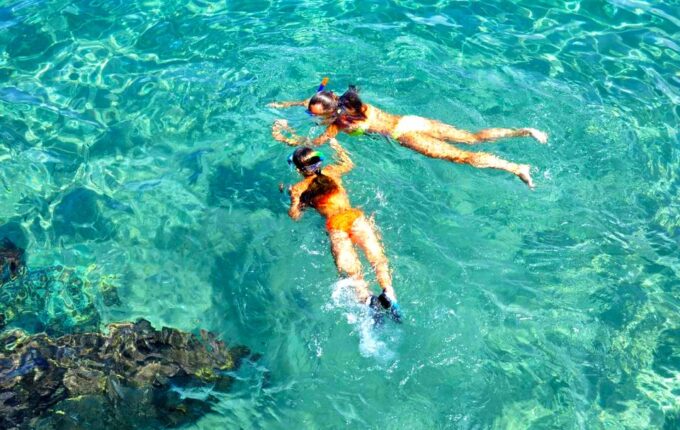 Nha Trang: Best Seller of Luxury Nha Trang Island Discovery - Dining and Entertainment Experiences