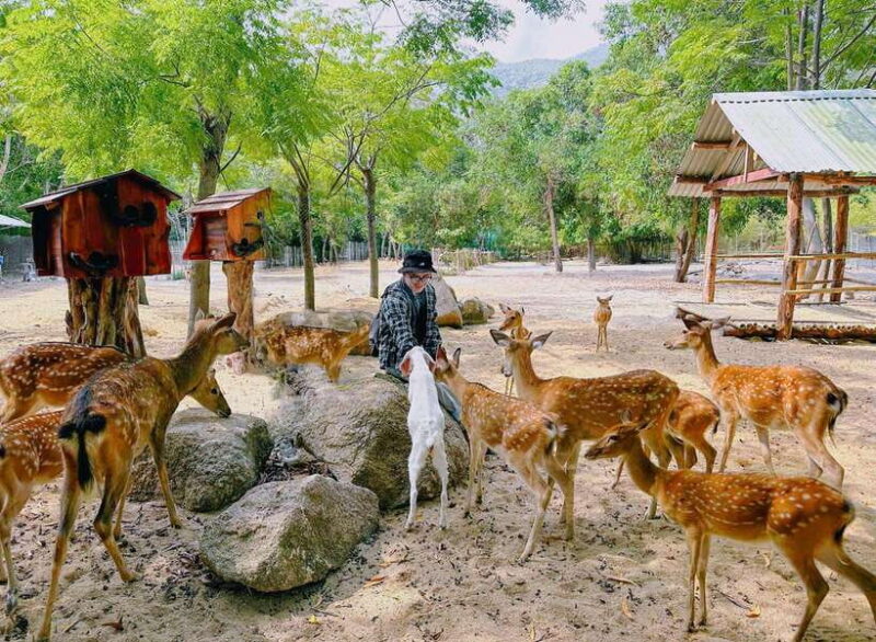Nha Trang City Sightseeing Tour: Nha Phu Bay, Monkey Island - Inclusions and What to Expect