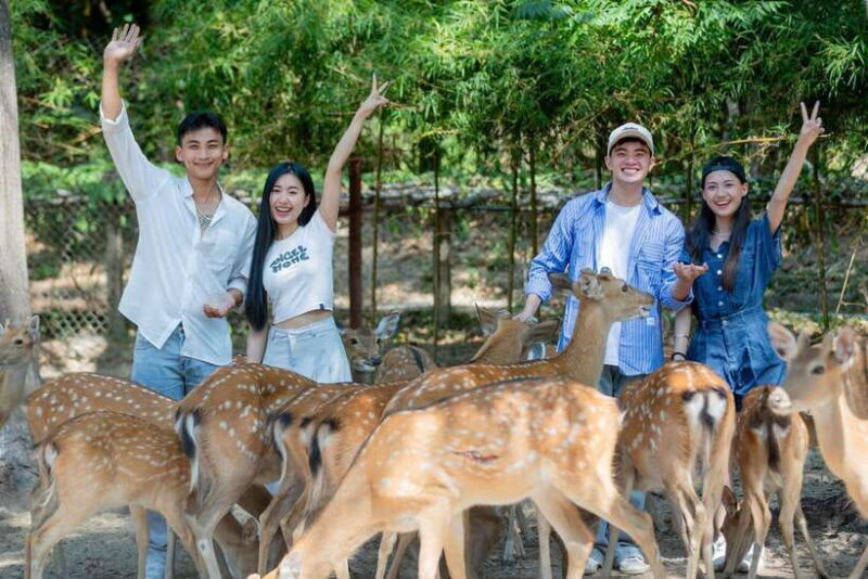 Nha Trang City Sightseeing Tour: Nha Phu Bay, Monkey Island - Important Notes for Tour Participants