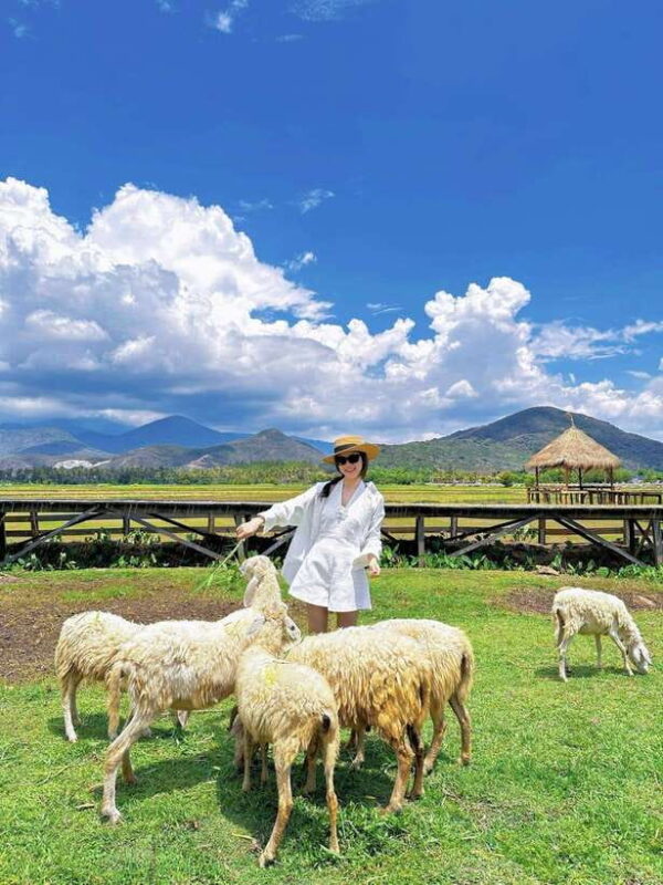 Nha Trang City Tour Hang Rai Coral Reef, Ninh Thuan Vineyard - Key Points