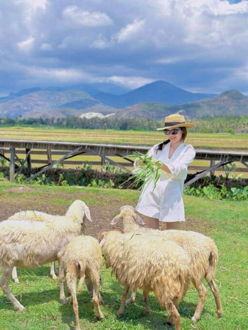 Nha Trang City Tour Hang Rai Coral Reef, Ninh Thuan Vineyard - Booking Information and Cancellation Policy