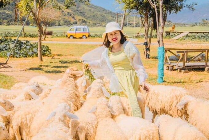 Nha Trang City Tour Hang Rai Coral Reef, Ninh Thuan Vineyard - Frequently Asked Questions