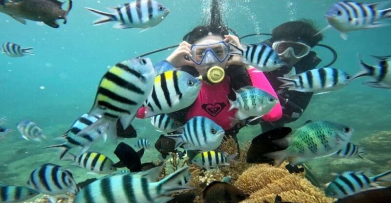 Nha Trang: Coral Reef Scuba Diving and Floating Bar Party - Key Points