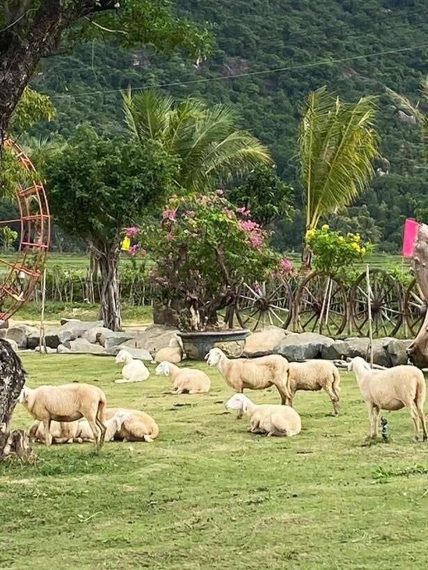 Nha Trang: Explore City, Marina Bay, and Fishing Village - Comprehensive Tour Inclusions and Accessibility