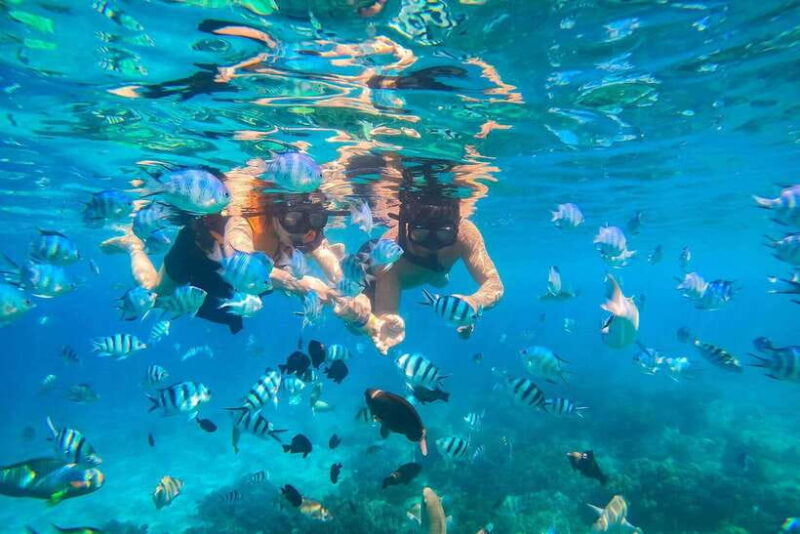 Nha Trang: Hon Mun Island Marine Park Snorkeling & Mud Bath - Key Points