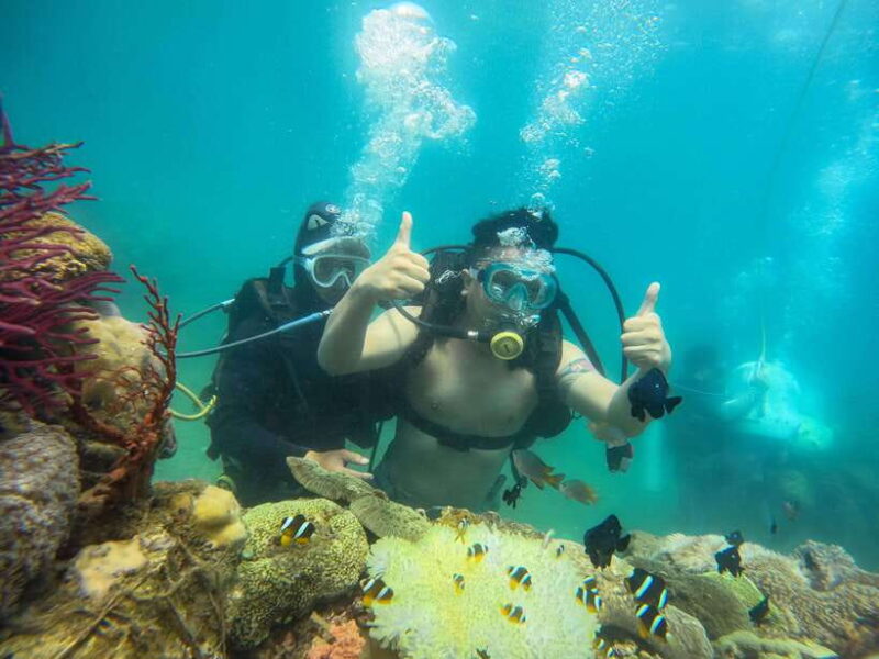 Nha Trang: Hon Mun Island Marine Park Snorkeling & Mud Bath - Snorkeling Experience at Hon Mun Marine Park